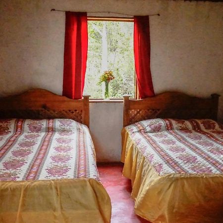 Cabanas Tonina Kayab Ocosingo Екстериор снимка