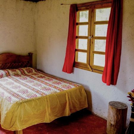Cabanas Tonina Kayab Ocosingo Екстериор снимка